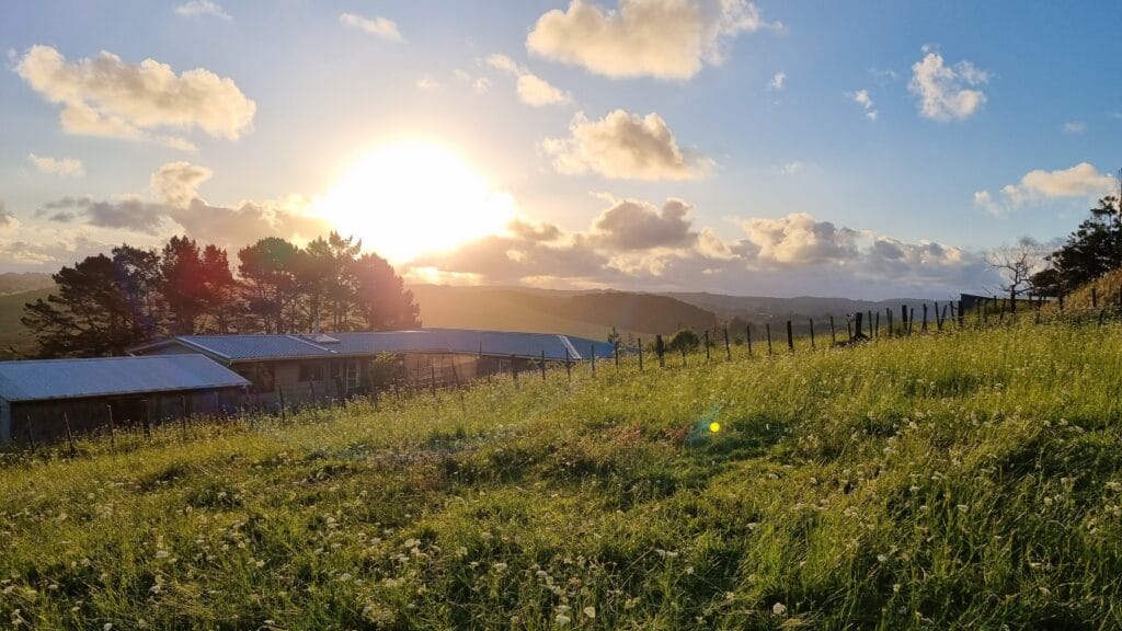 Almost sunset over the hills in the distance with a house in the foreground, half hidden beind a bank