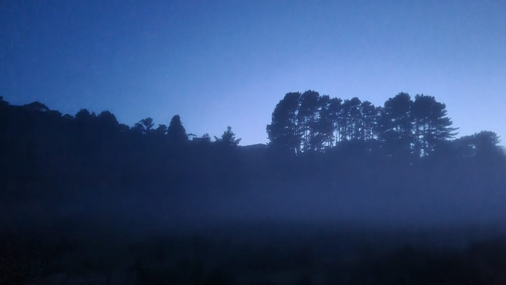 Bluish and foggy dark view up the hill with dark tree silhouettes against a lighter blue sky.